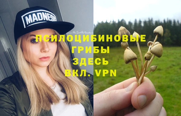 СК Алексеевка