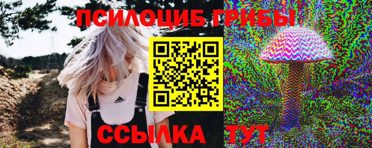 Псилоцибиновые грибы Magic Shrooms Сорочинск