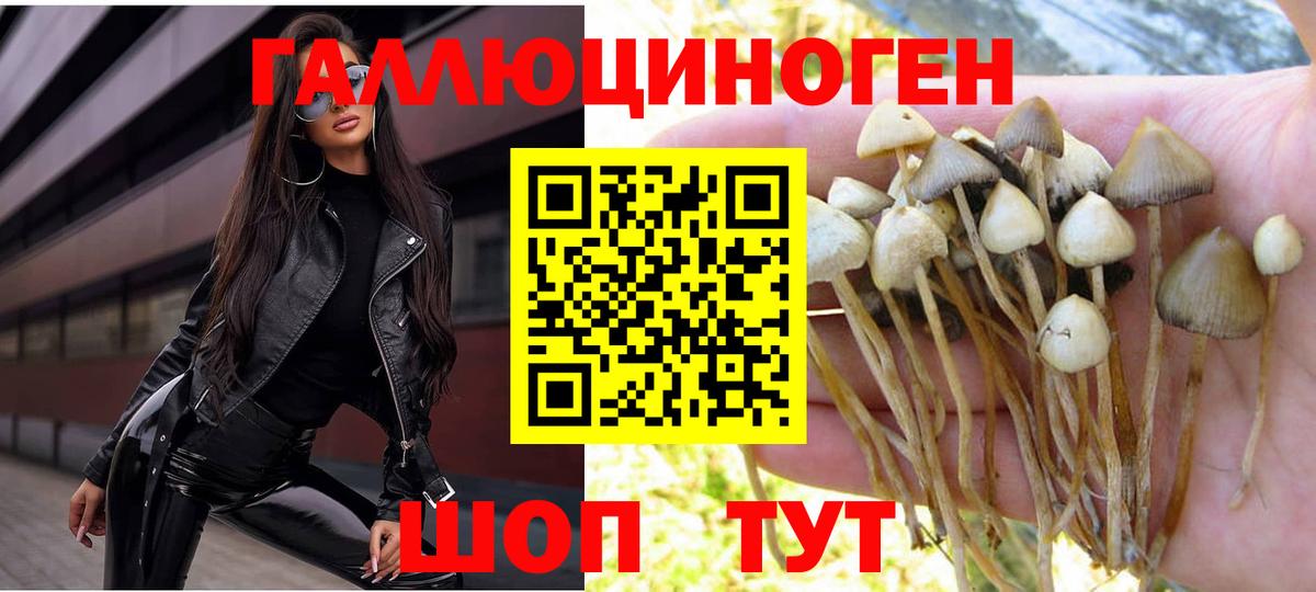 Сорочинск  Псилоцибиновые грибы Psilocybe  Вход с VPN  Псилоцибиновые грибы MAGIC MUSHROOMS 